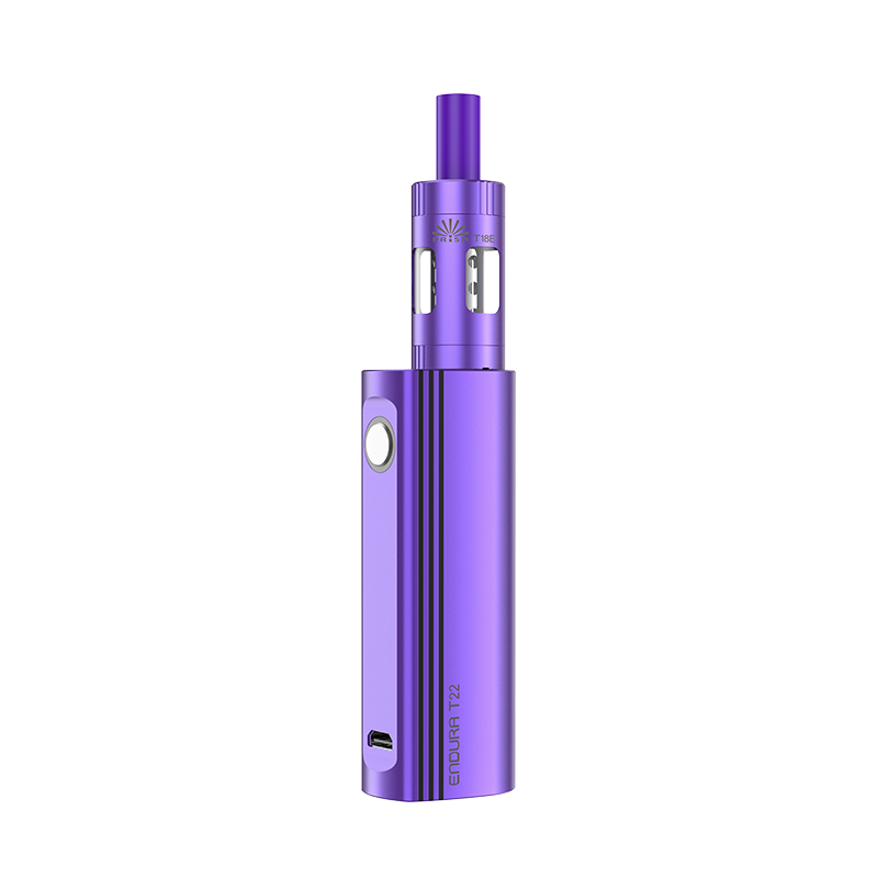 Innokin Endura T22E Vape Kit